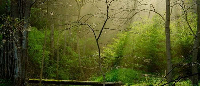 natuurrijken